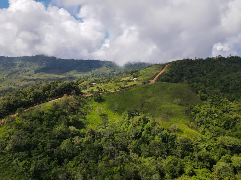 Land For Sale in Perez Zeledon, photo 10