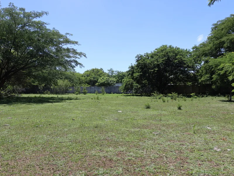 Land For Sale in Sardinal