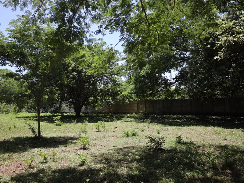 Land For Sale in Sardinal, photo 2
