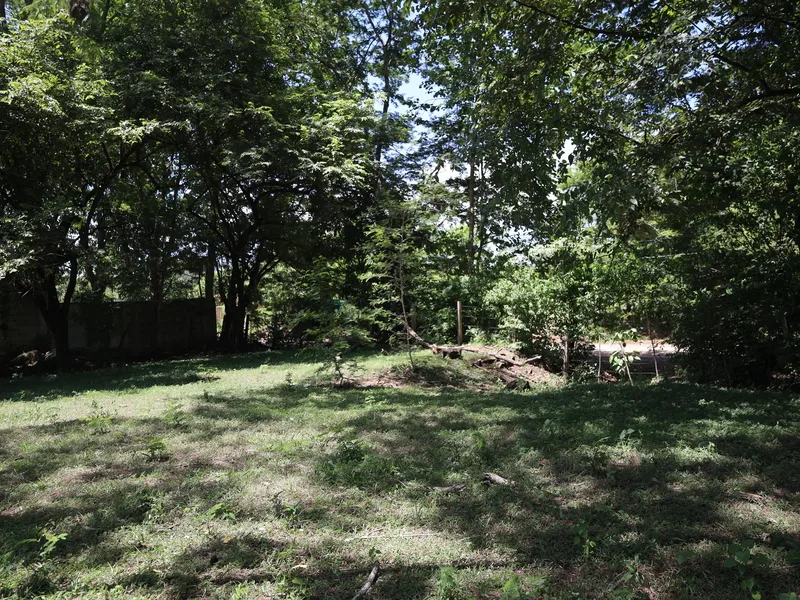 Land For Sale in Sardinal, photo 3