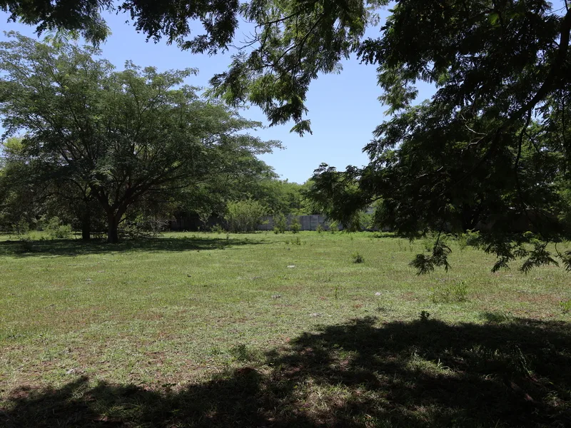 Land For Sale in Sardinal, photo 5