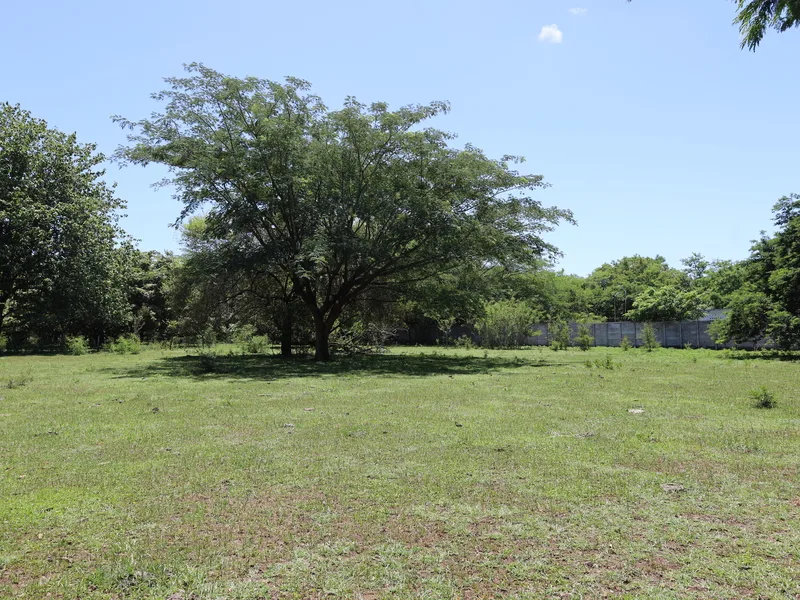 Land For Sale in Sardinal, photo 6