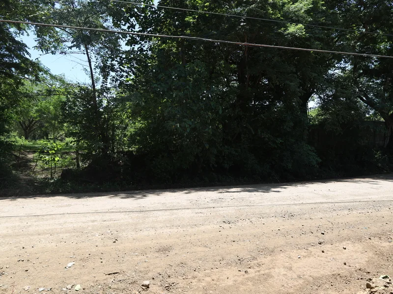 Land For Sale in Sardinal, photo 7