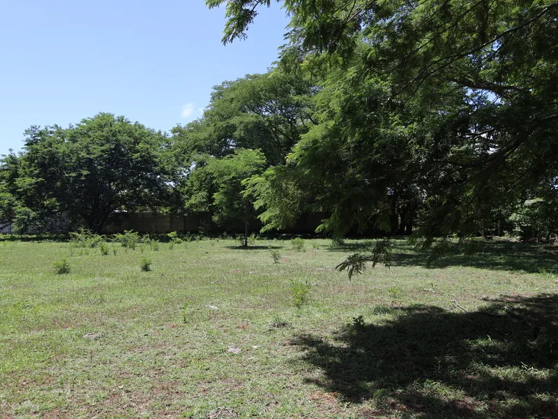 Land For Sale in Sardinal, photo 8