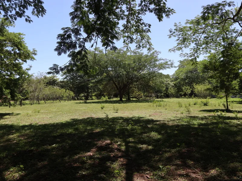 Land For Sale in Sardinal, photo 9