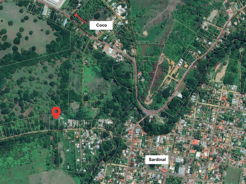 Land For Sale in Sardinal, photo 10