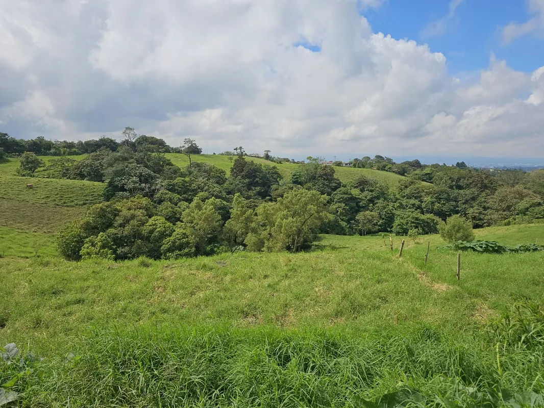 MA Asesorías Vende preciosa finca lechera en San Pedro de Vásquez de Coronado, San José., photo 11