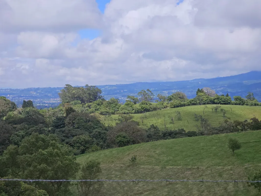 MA Asesorías Vende preciosa finca lechera en San Pedro de Vásquez de Coronado, San José., photo 12