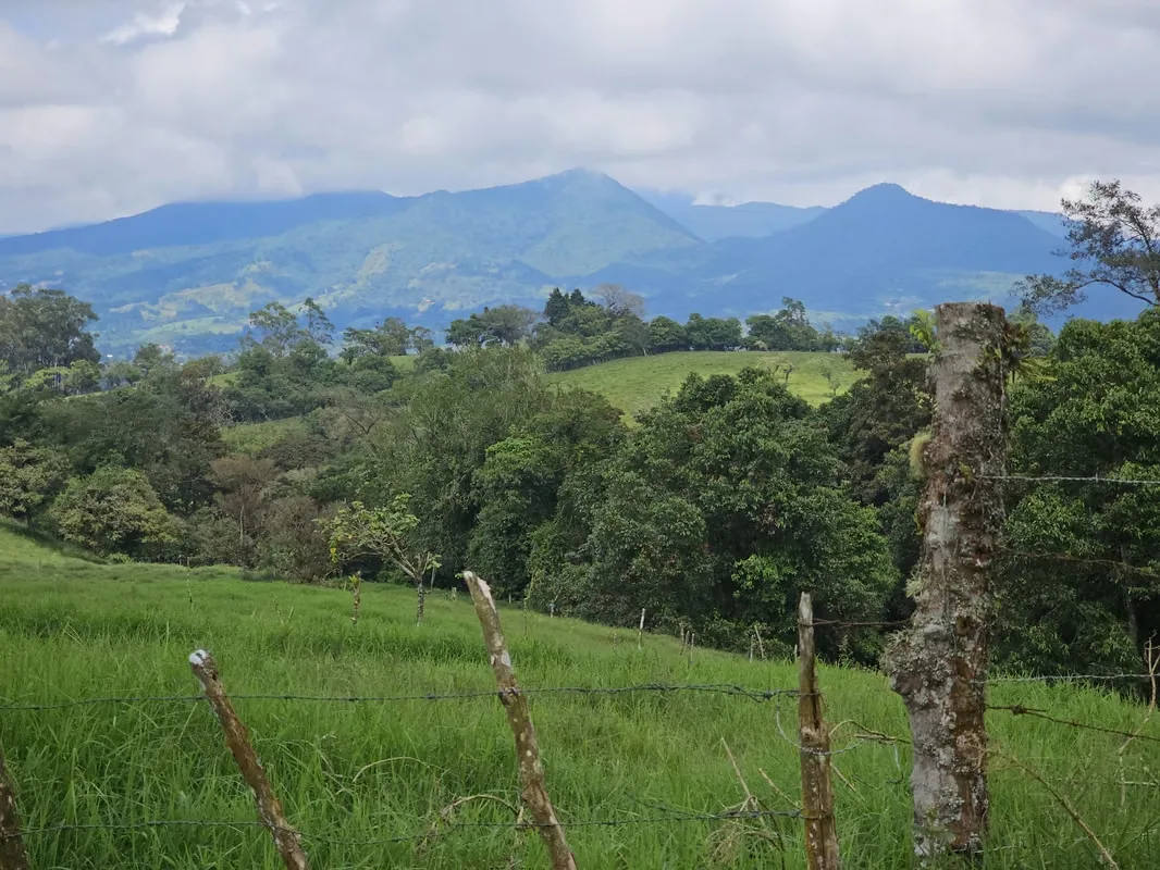 MA Asesorías Vende preciosa finca lechera en San Pedro de Vásquez de Coronado, San José., photo 15