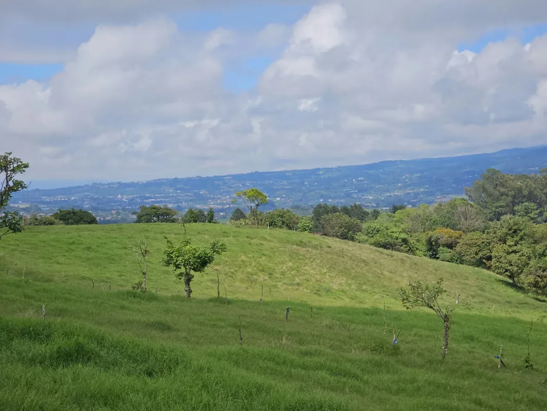 MA Asesorías Vende preciosa finca lechera en San Pedro de Vásquez de Coronado, San José., photo 16