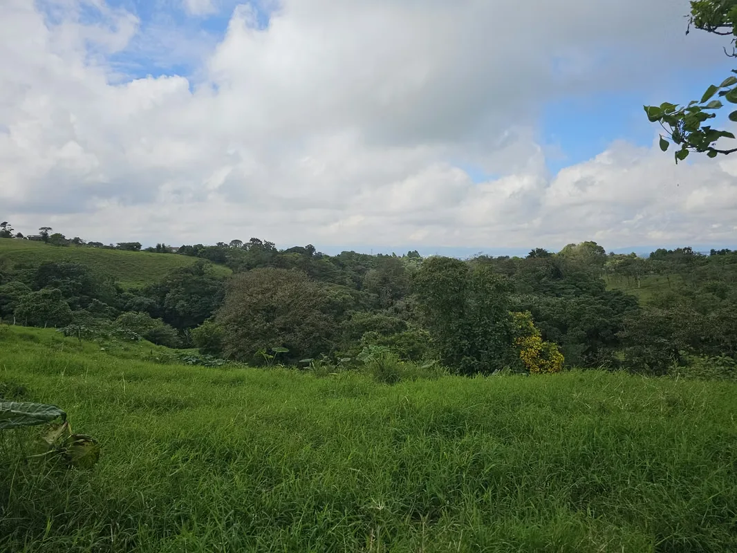 MA Asesorías Vende preciosa finca lechera en San Pedro de Vásquez de Coronado, San José., photo 9