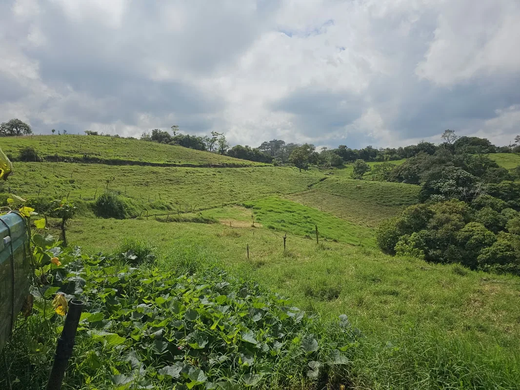 MA Asesorías Vende preciosa finca lechera en San Pedro de Vásquez de Coronado, San José., photo 10