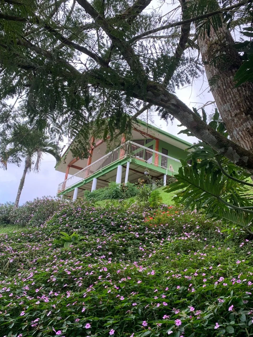 Private Lake Arenal Mountain Retreat with Panoramic Views, photo 5