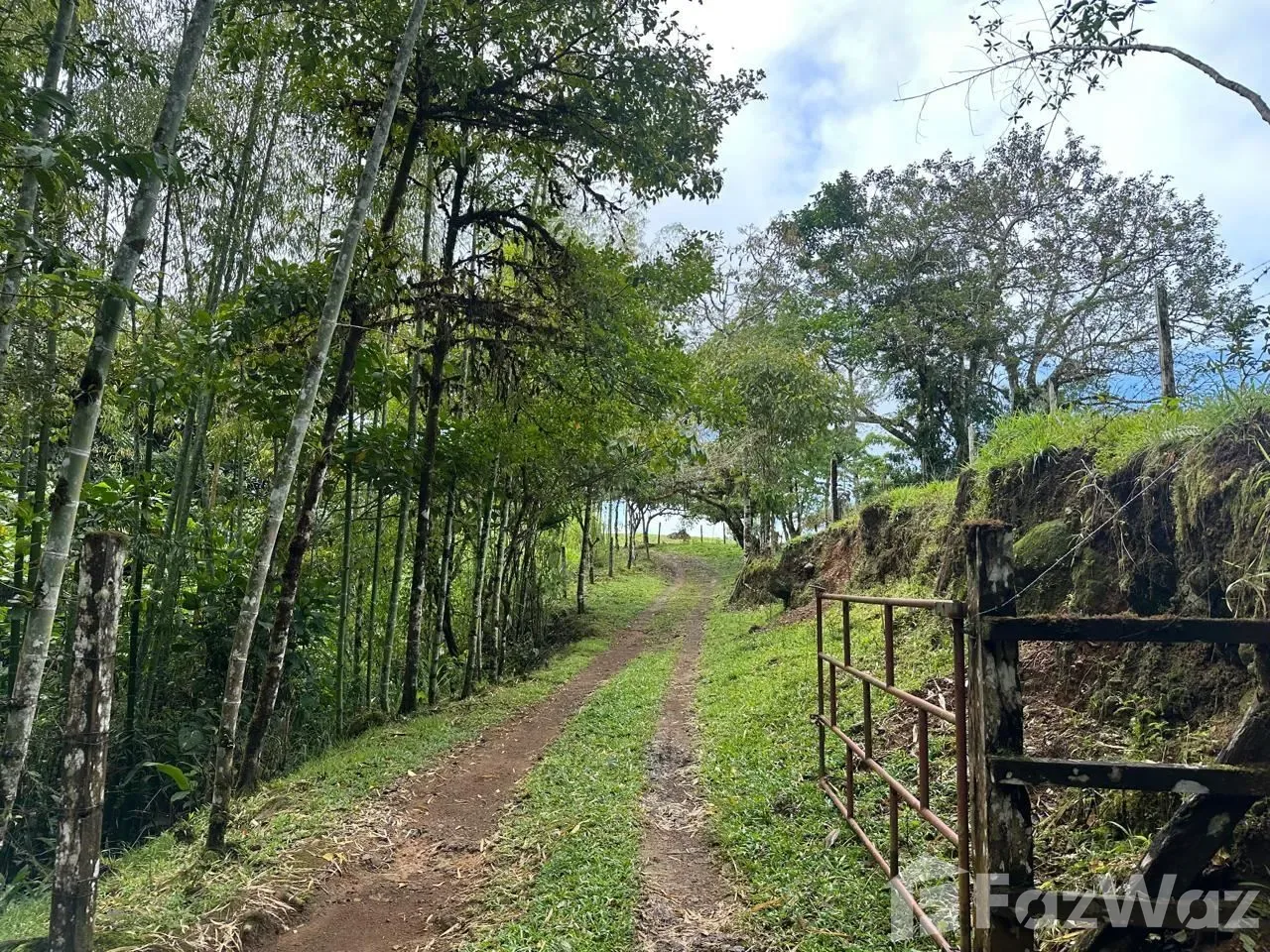 Land for Sale in Perez Zeledon, San Jose for $600,000, photo 12