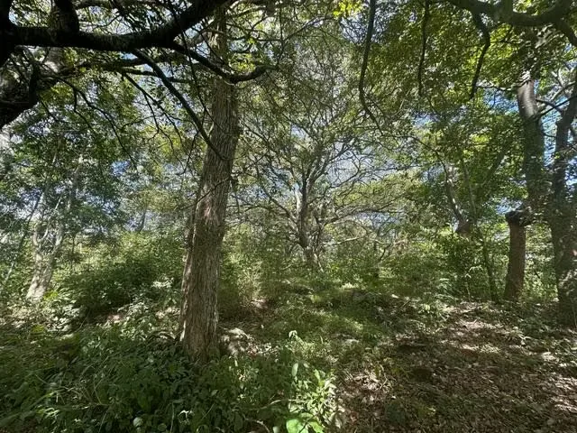 Land for Sale at Alajuela for $179,000