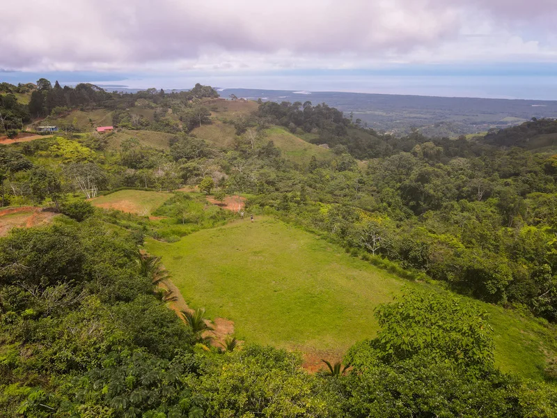 Land For Sale in Ojochal