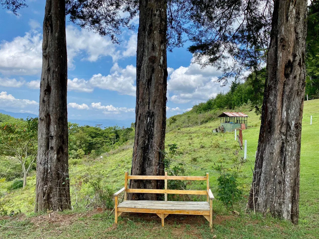 Lote en Venta en Santo Domingo ,Santa Barbara, photo 16