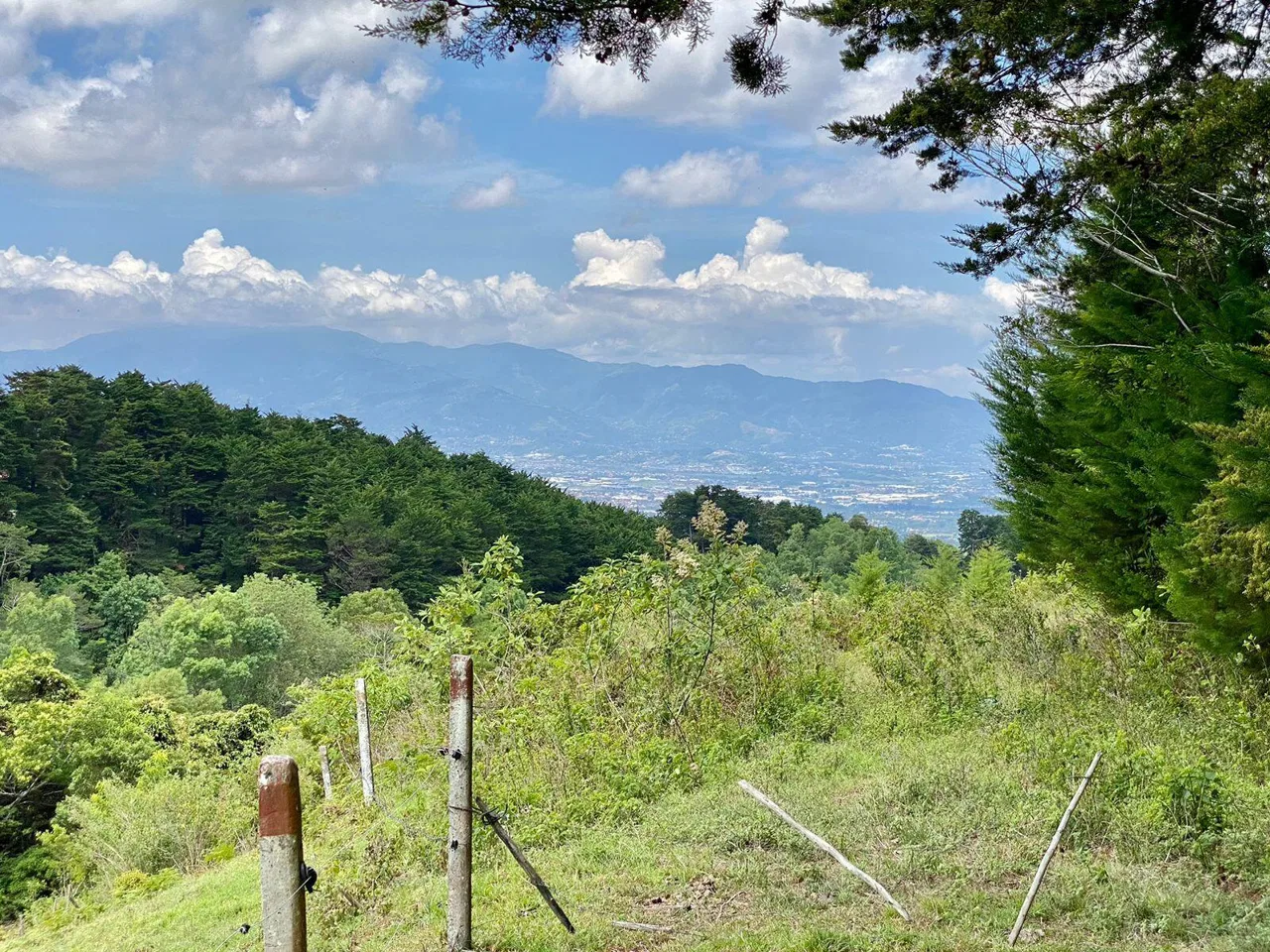 Lote en Venta en Santo Domingo ,Santa Barbara, photo 19