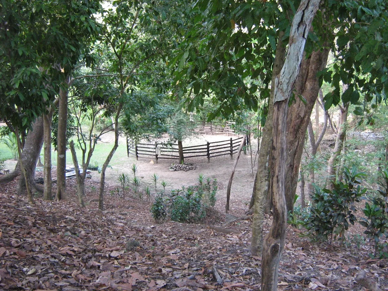 Vainilla farm 88.5 Acres