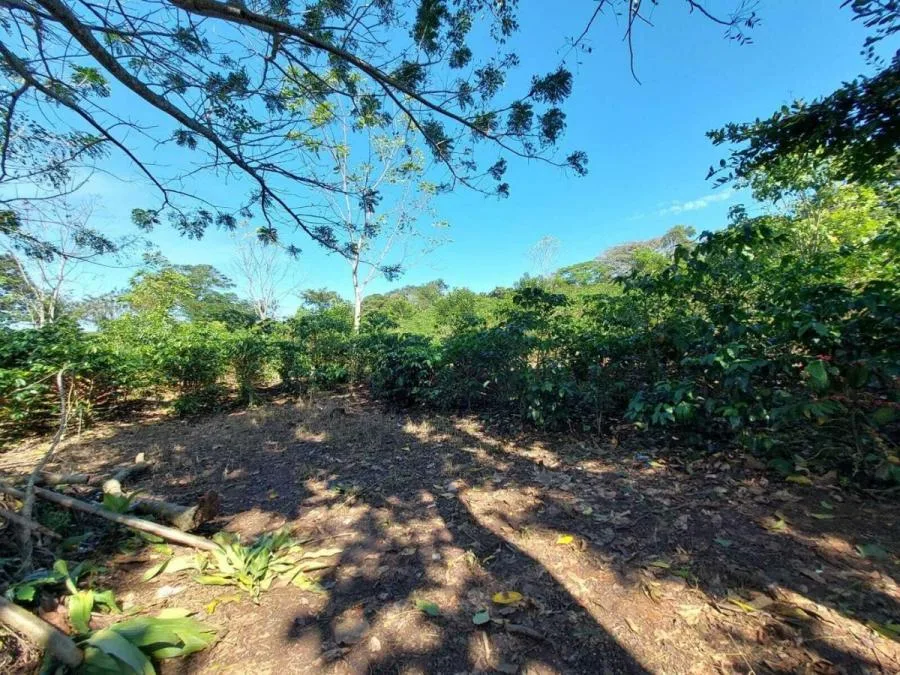 Venta de Lote en Puriscal, San José. RAH 24-898 - Venta en Puriscal, photo 6