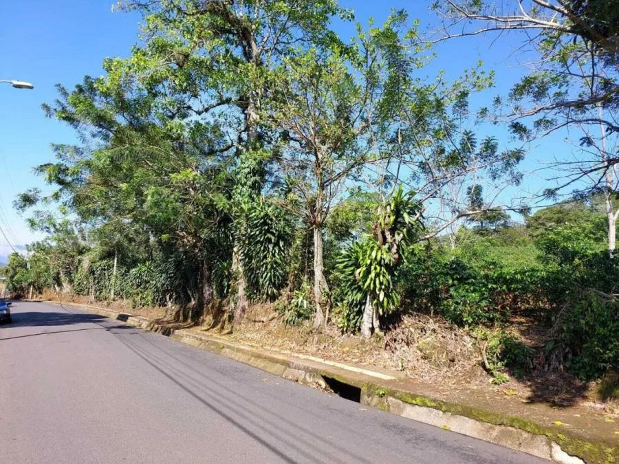 Venta de Lote en Puriscal, San José. RAH 24-898 - Venta en Puriscal, photo 9