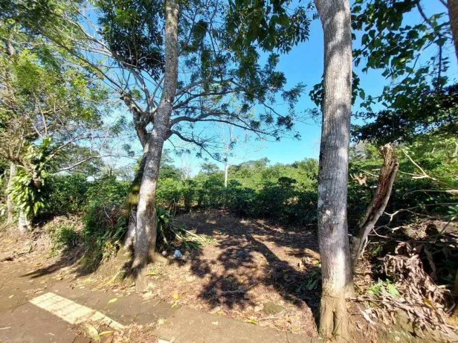 Venta de Lote en Puriscal, San José. RAH 24-898 - Venta en Puriscal, photo 10