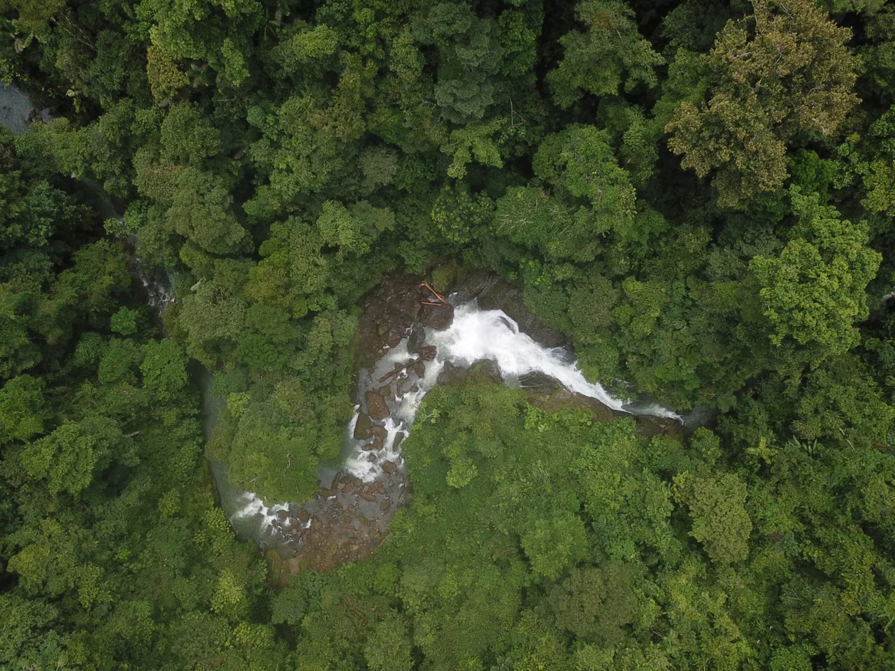 Drake Bay Eco-Lodge Property for Sale – The Jungle Getaway - REMAX Jungle Properties | Pavones Golfito Real Estate