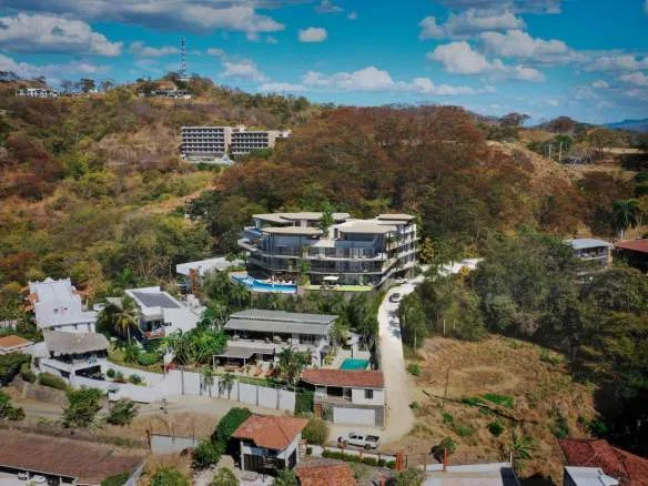 TAMARINDO 360