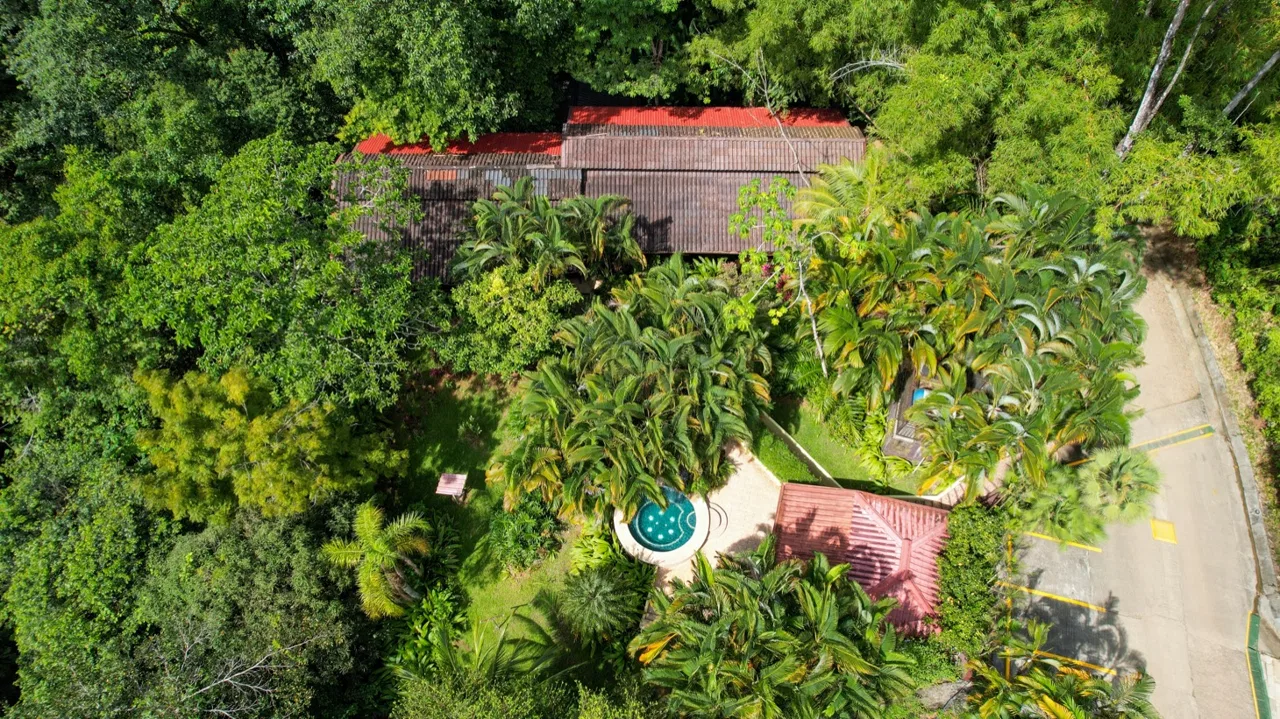 ONE OF A KIND LUXURY BOUTIQUE HOTEL WITH OCEAN AND JUNGLE VIEWS, photo 21