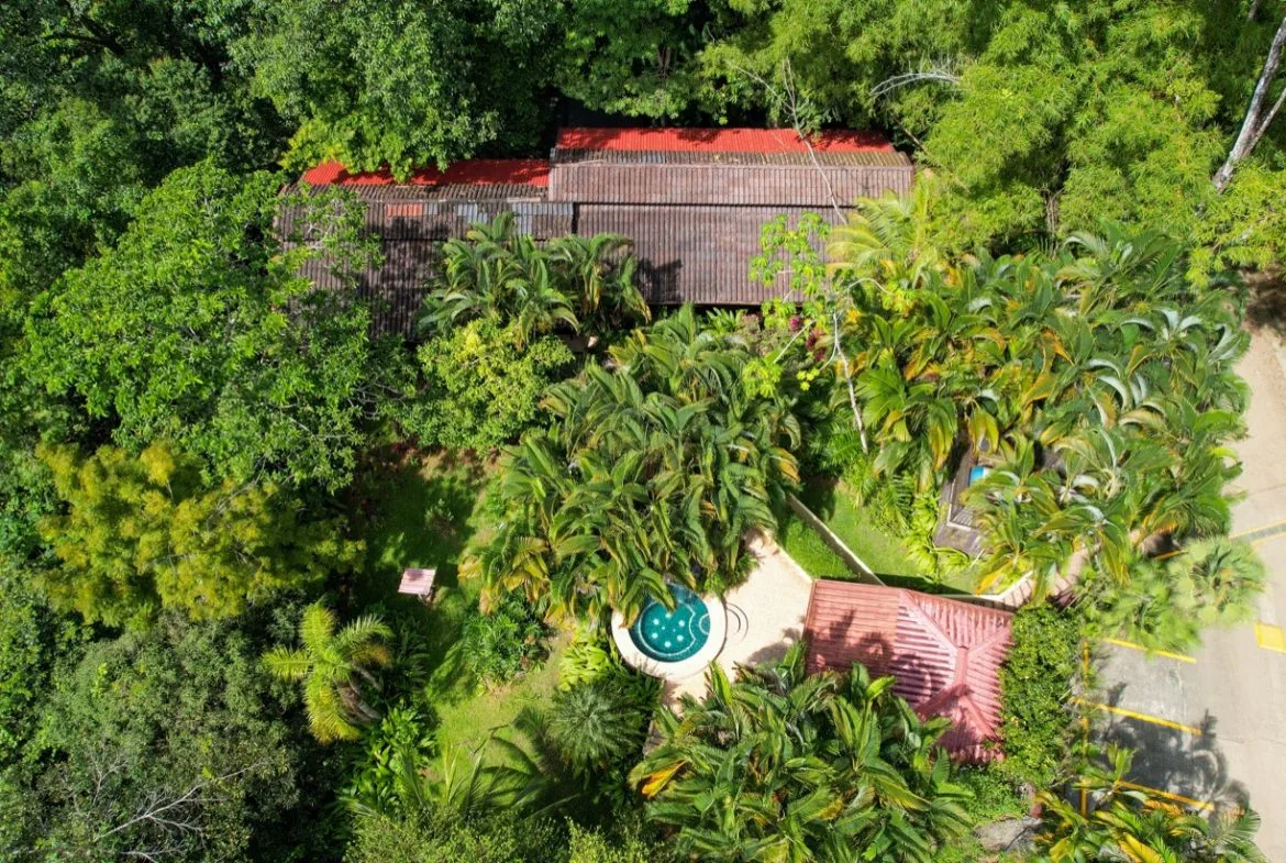 ONE OF A KIND LUXURY BOUTIQUE HOTEL WITH OCEAN AND JUNGLE VIEWS, photo 22