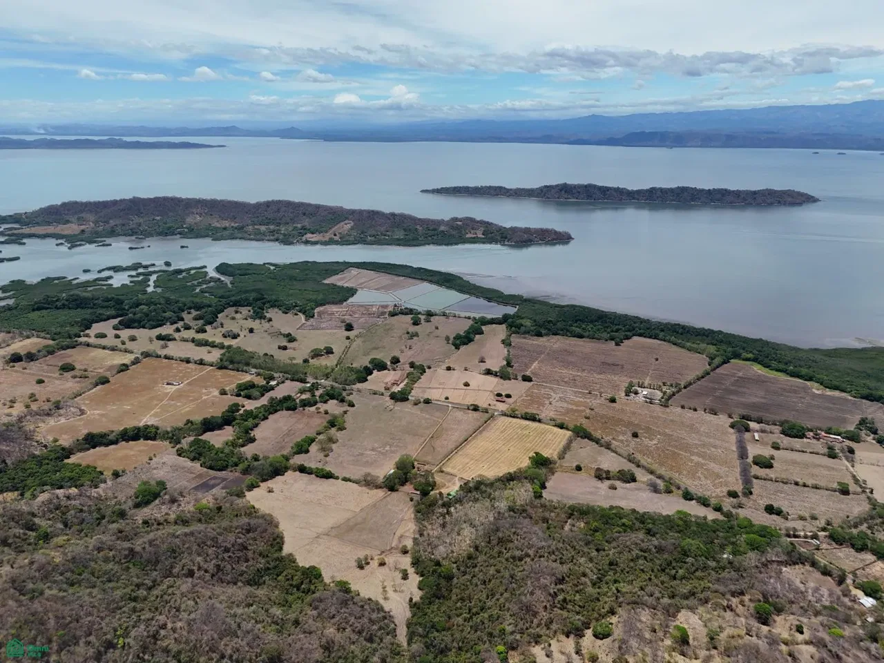 Loma Verde | 120 Hectares, Lepanto, Puntarenas 60104