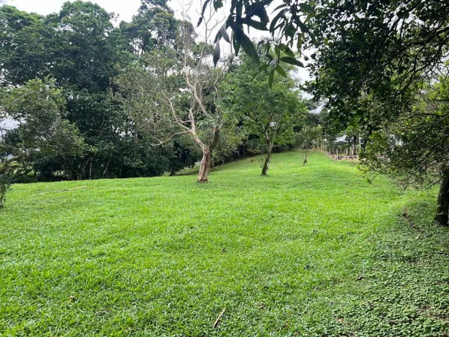 Venta de Lote en Pérez Zeledón, San José. RAH 25-259 - Venta en Perez Zeledón, photo 11