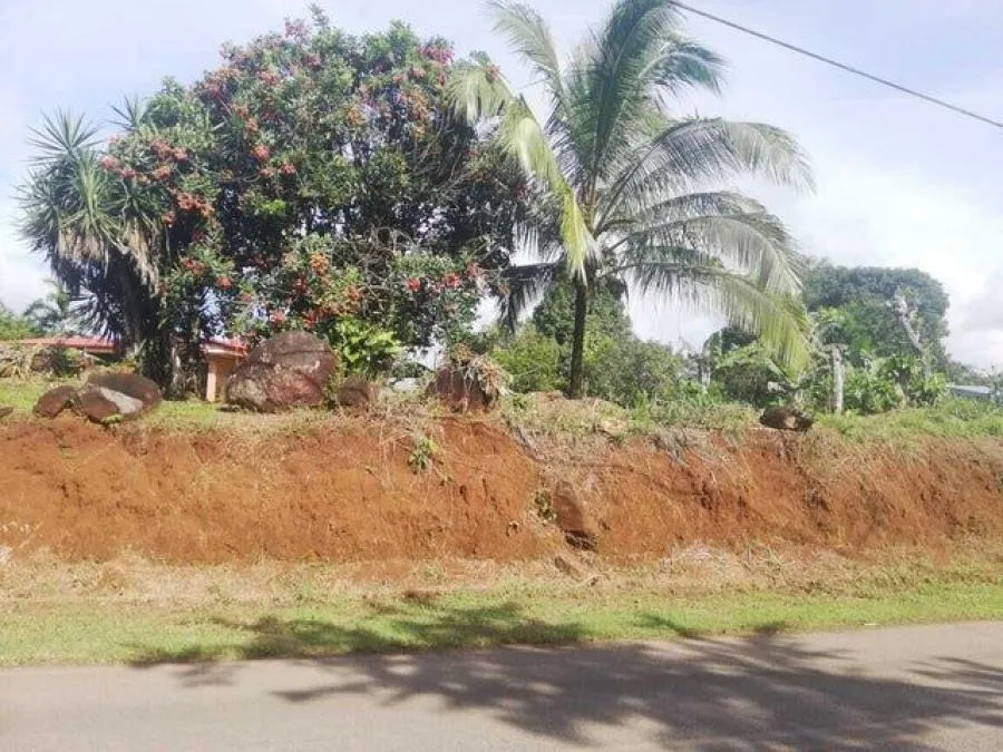 Venta de Lote en Pérez Zeledón, San José. RAH 25-259 - Venta en Perez Zeledón, photo 5