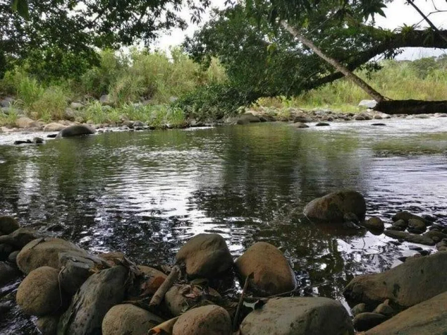 Venta de Lote en Pérez Zeledón, San José. RAH 25-259 - Venta en Perez Zeledón, photo 6