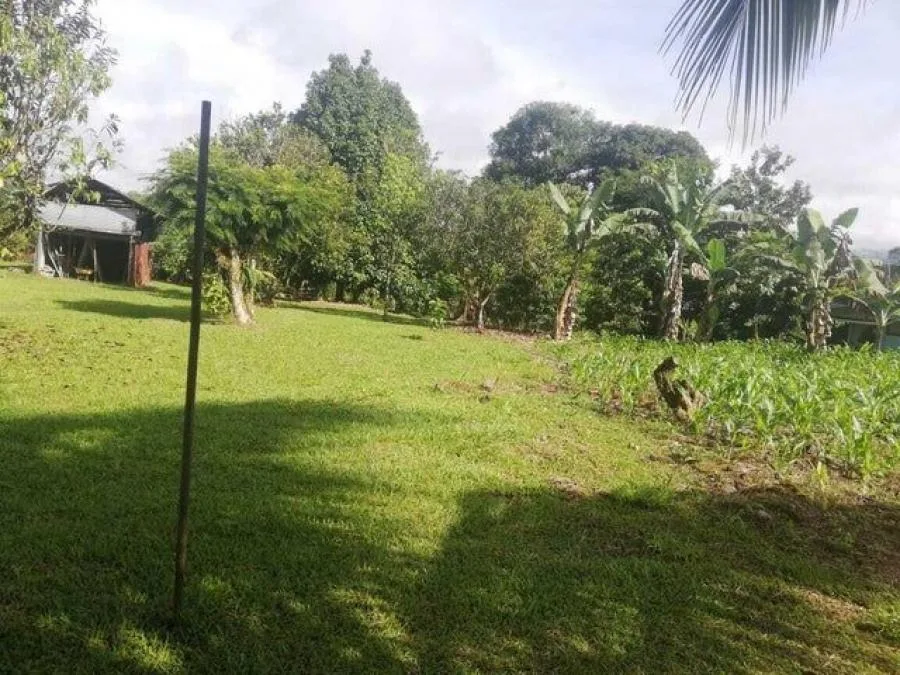 Venta de Lote en Pérez Zeledón, San José. RAH 25-259 - Venta en Perez Zeledón, photo 7
