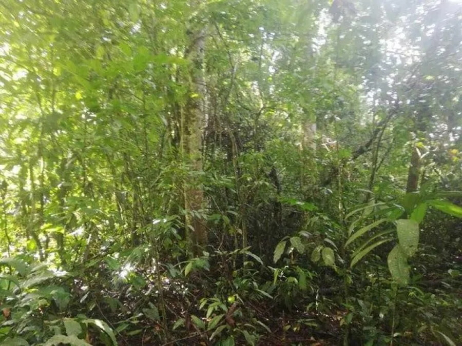 Venta de Lote en Pérez Zeledón, San José. RAH 25-259 - Venta en Perez Zeledón, photo 8