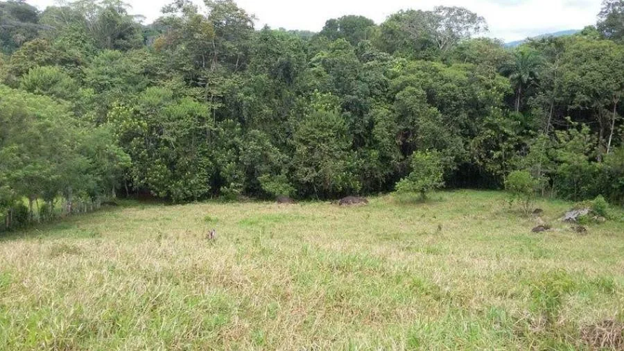 Venta de Lote en Pérez Zeledón, San José. RAH 25-259 - Venta en Perez Zeledón, photo 10
