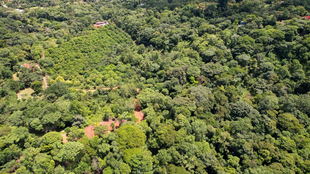 BUILDING PROPERTY WITH FRUIT TREES AND NEAR TO THE RIVER, IN OJOCHAL – 23 ACRES, photo 11