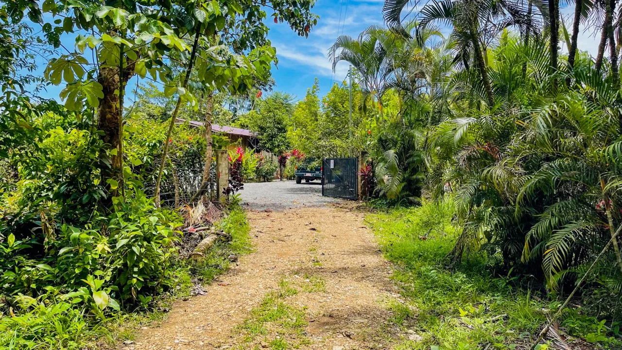 BUILDING PROPERTY WITH FRUIT TREES AND NEAR TO THE RIVER, IN OJOCHAL – 23 ACRES, photo 13