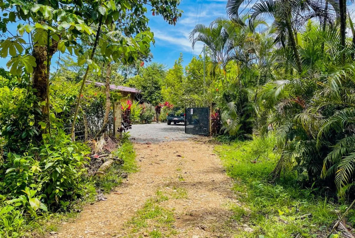 BUILDING PROPERTY WITH FRUIT TREES AND NEAR TO THE RIVER, IN OJOCHAL – 23 ACRES, photo 14