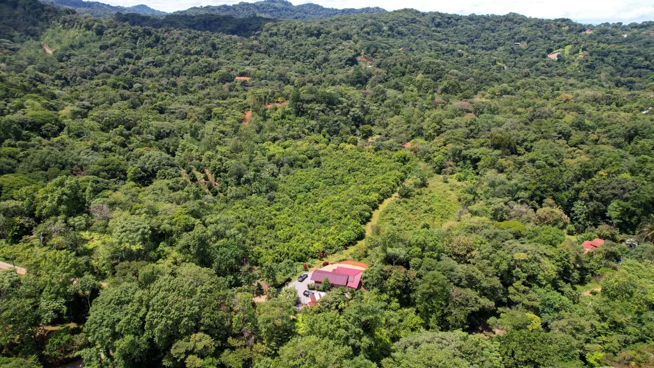 BUILDING PROPERTY WITH FRUIT TREES AND NEAR TO THE RIVER, IN OJOCHAL – 23 ACRES, photo 3