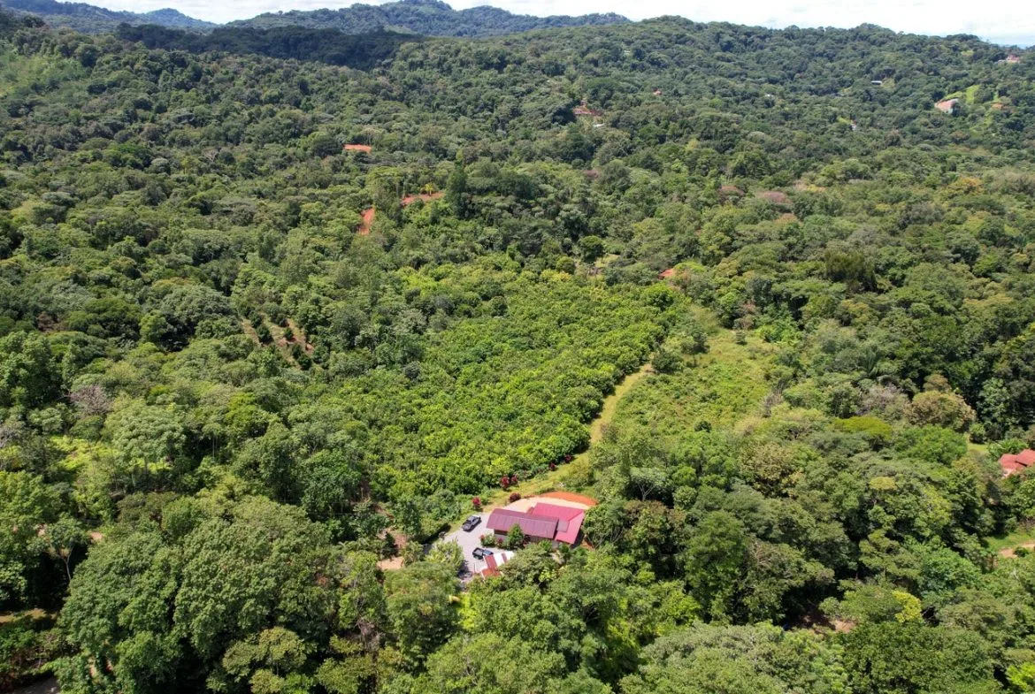 BUILDING PROPERTY WITH FRUIT TREES AND NEAR TO THE RIVER, IN OJOCHAL – 23 ACRES, photo 4