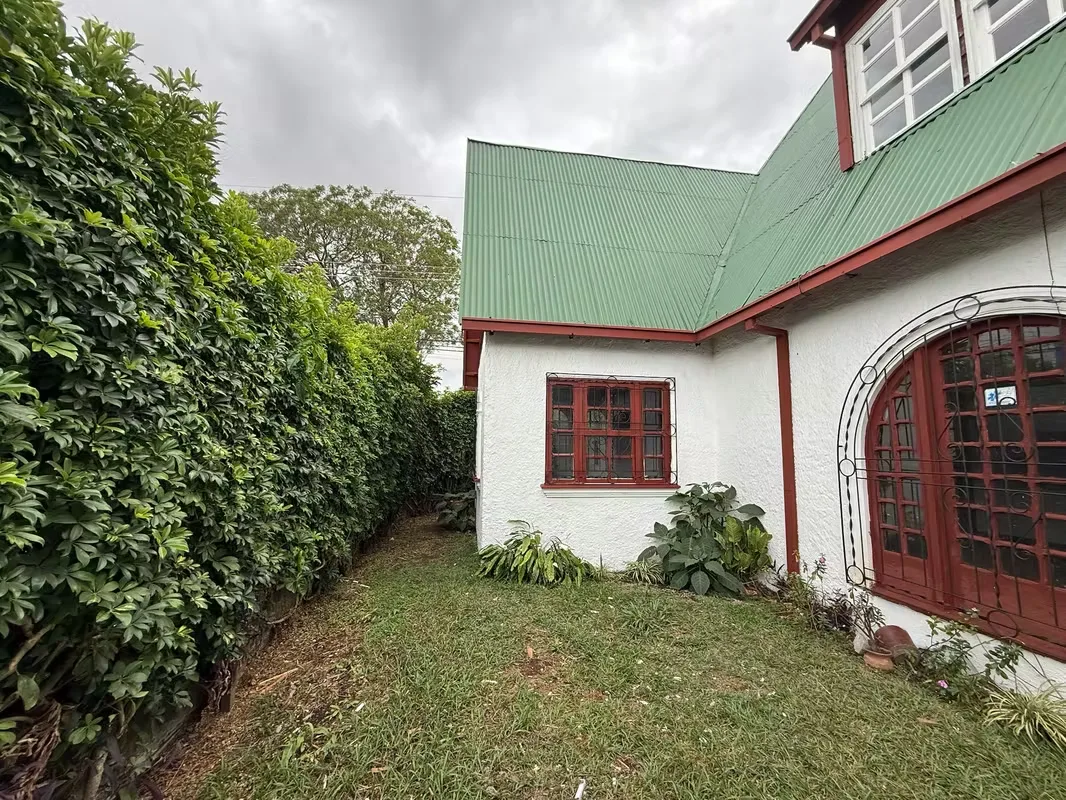 Corner House for Rent in Barrio Escalante (Residential or Commercial Use), photo 7