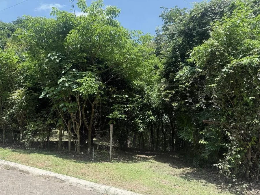 Venta de Lote en Turrúbares, San José. RAH 26-329 - Venta en Turrubares