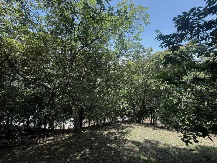 Venta de Lote en Turrúbares, San José. RAH 26-329 - Venta en Turrubares, photo 14