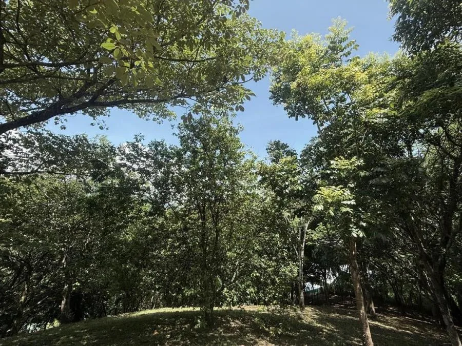 Venta de Lote en Turrúbares, San José. RAH 26-329 - Venta en Turrubares, photo 3