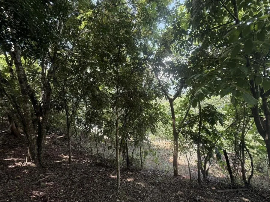 Venta de Lote en Turrúbares, San José. RAH 26-329 - Venta en Turrubares, photo 5