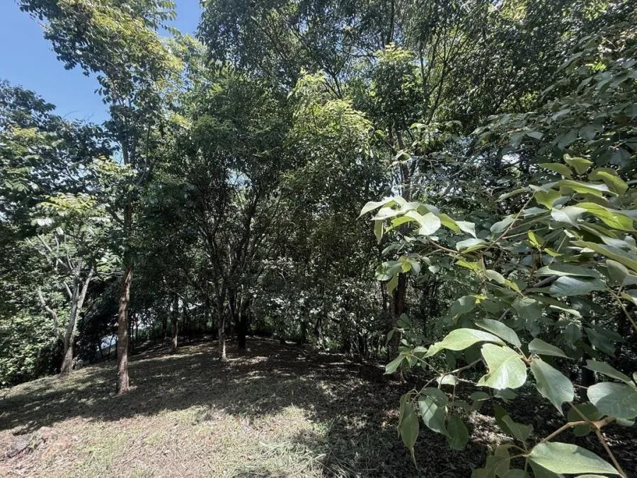 Venta de Lote en Turrúbares, San José. RAH 26-329 - Venta en Turrubares, photo 10