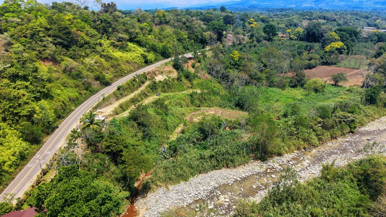 1 Ha Lot for sale in San Pedro: River, Versatile Climate &amp; Utilities, photo 6