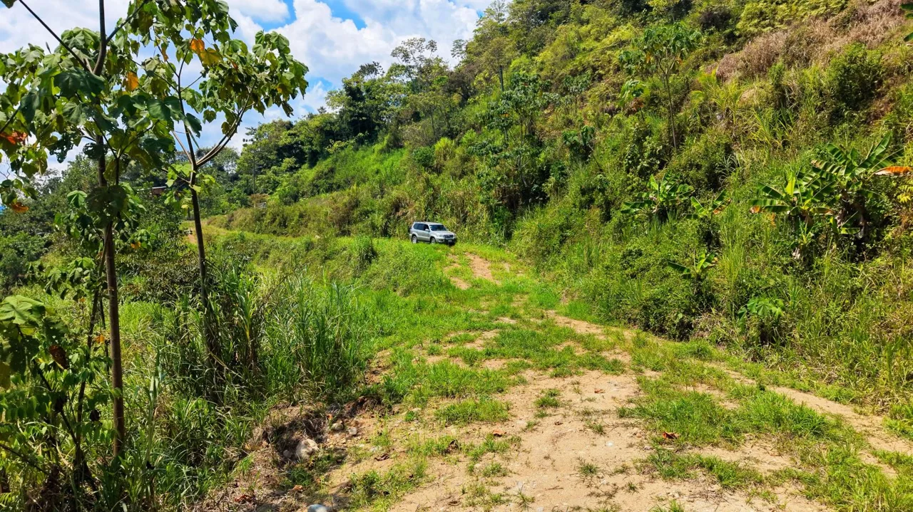1 Ha Lot for sale in San Pedro: River, Versatile Climate &amp; Utilities, photo 7